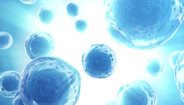 自家がんワクチン免疫治療